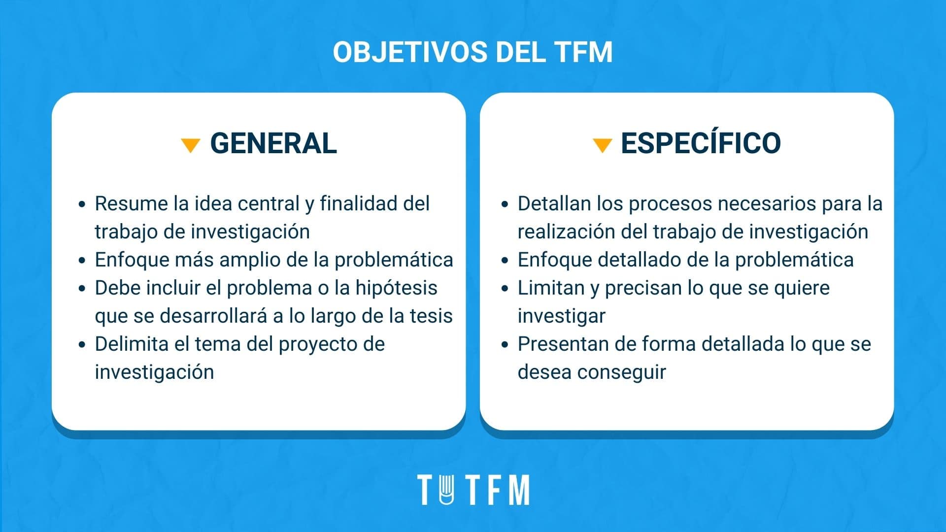 objetivos TFM